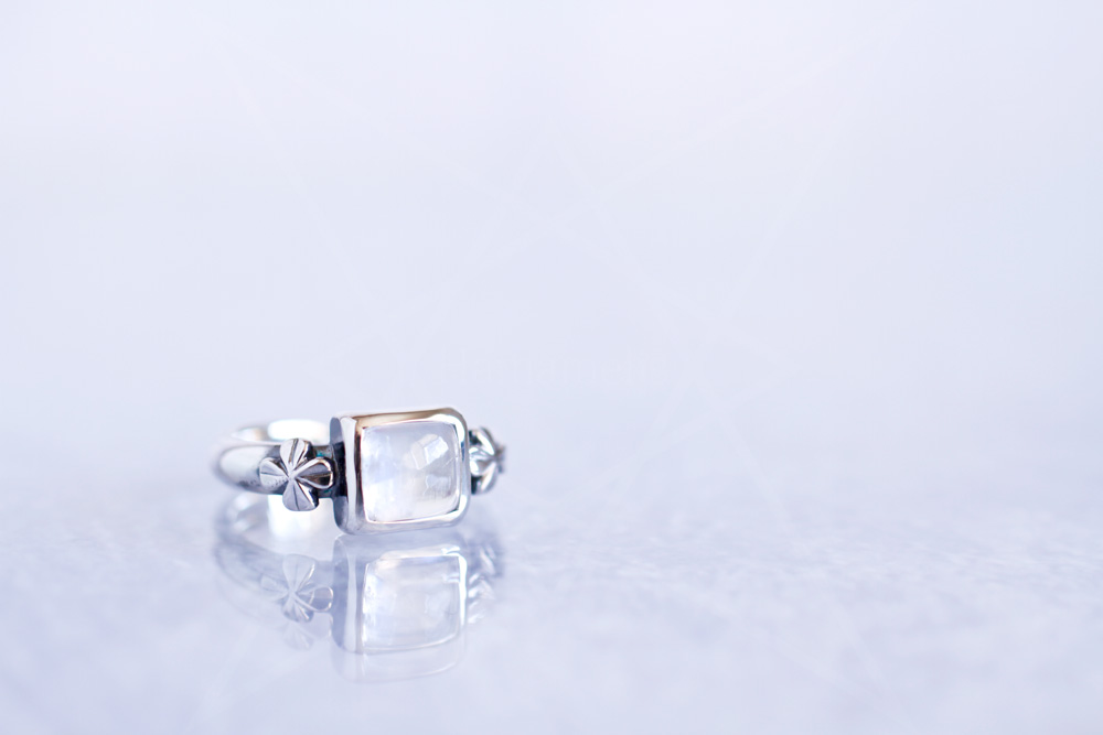 月四つ葉完成画像04